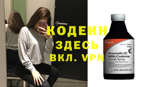 трава Белокуриха