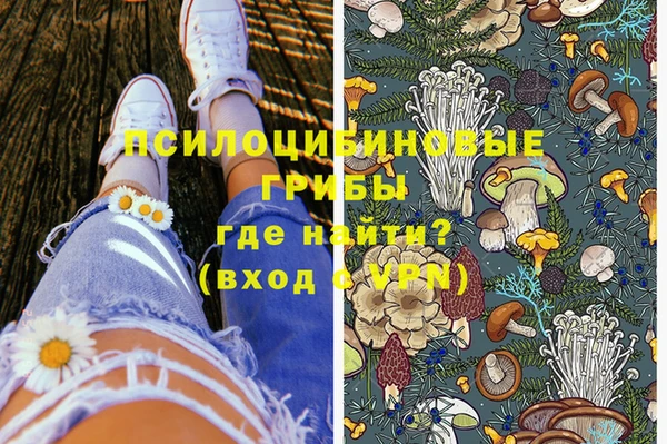 трава Белокуриха