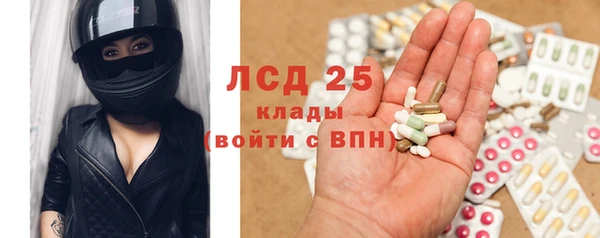 прущие грибы Богородск
