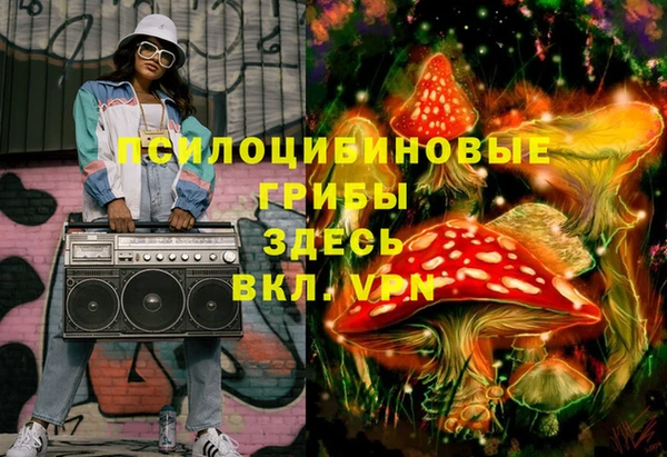 трава Белокуриха