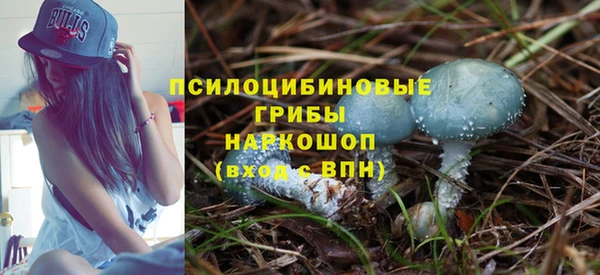 бутират Богданович