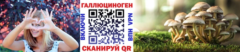 Галлюциногенные грибы Cubensis  где купить наркотик  Буйнакск 