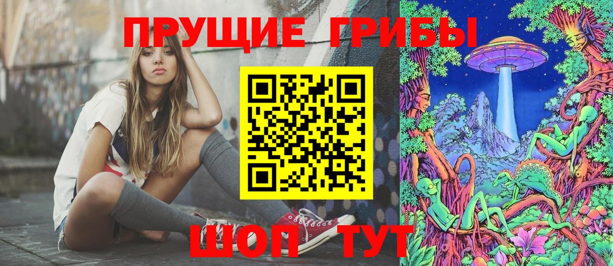 Псилоцибиновые грибы Psilocybe Буйнакск