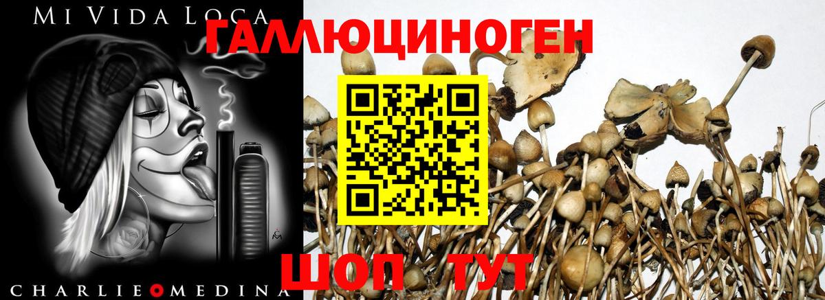 Галлюциногенные грибы ЛСД  как найти закладки  Буйнакск 